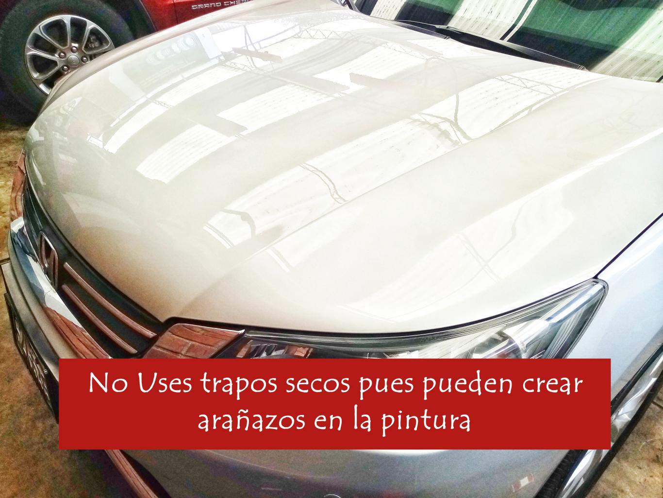 CUIDANDO LA PINTURA DE TU VEHICULO I