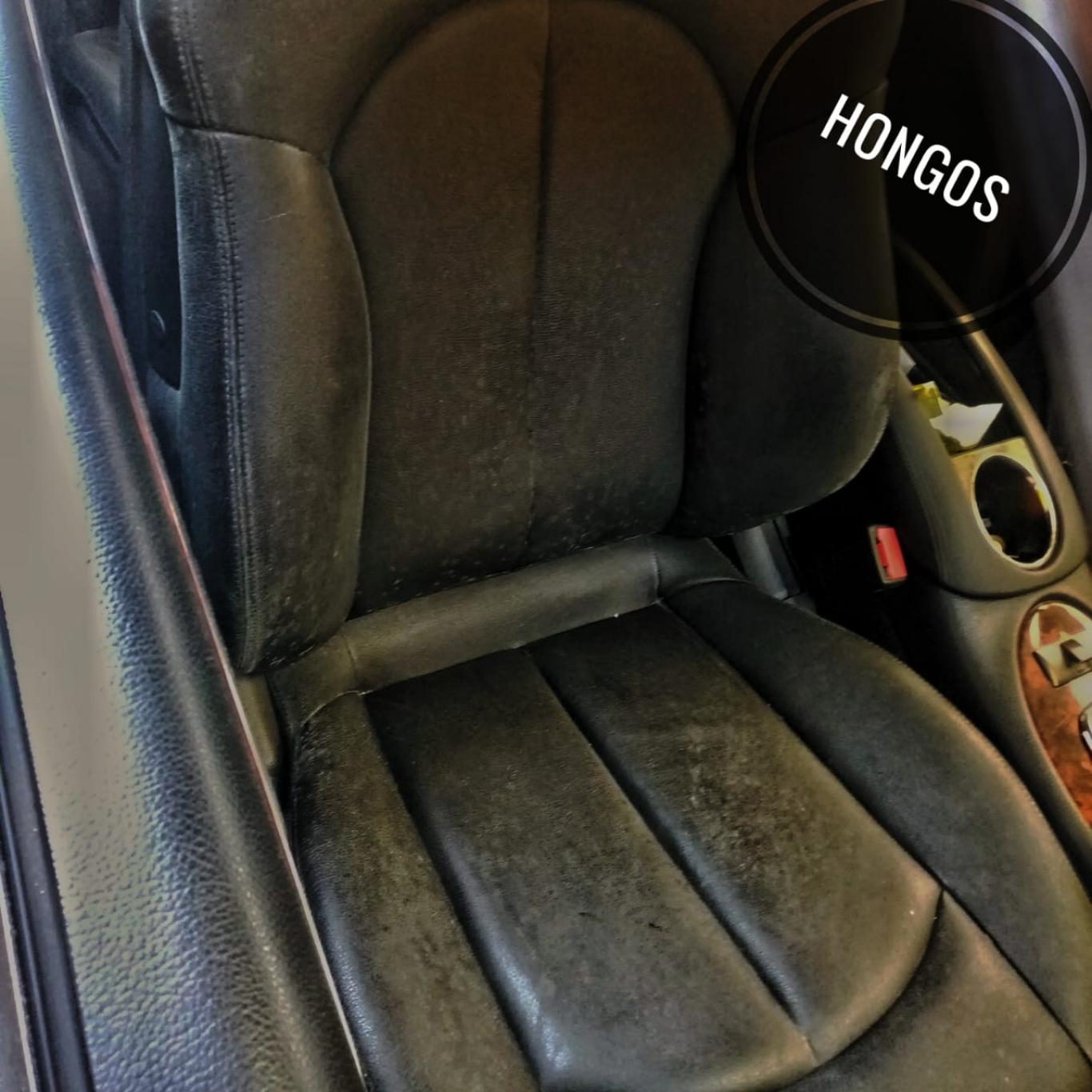 HONGOS EN EL VEHICULO